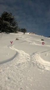 V&D tracks down sugar bowl