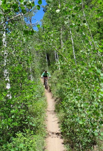 2013-06-20 Hermosa Creek Trail 046