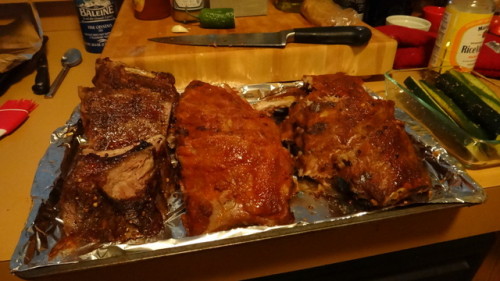 2013-07-04 ribs 001