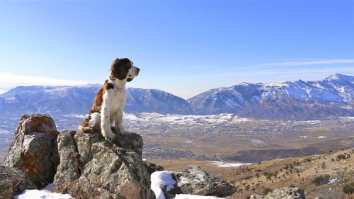 Bacio on table mountain