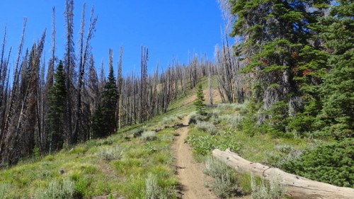 2013-07-19 Baker-Fox-Adams Gulch 015